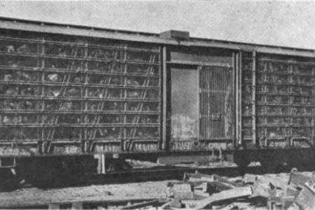 That's a Lot of Turkeys